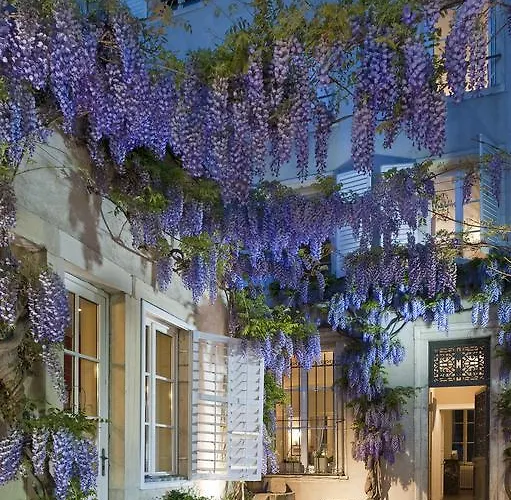 Bed & Breakfast Maison D'hote De Myon 4*